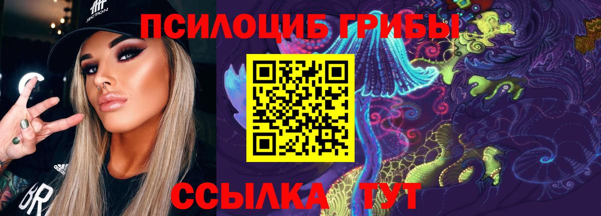Псилоцибиновые грибы ЛСД  Вход с VPN  Назрань  где можно купить   Псилоцибиновые грибы Psilocybe 