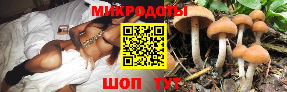 Меф мяу мяу Назрань